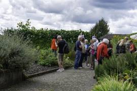 Offener_Klostergarten_2025-6_original