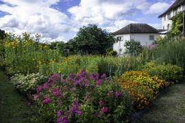 Offener_Klostergarten_2025-8_original