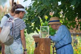 Interessierte BesucherInnen bei der Frau an der Drehorgel