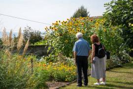 Vieles gibt es zu sehen im Klostergarten