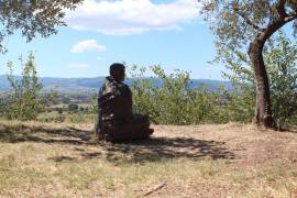 IMG_8043_original
