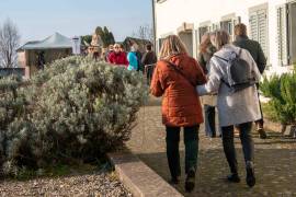 Oasentage_am_Weihnachtsmarkt_25-4_original