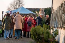 Oasentage_am_Weihnachtsmarkt_25-8_original