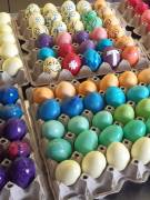 Ostern2026_Eierfaerben01_original